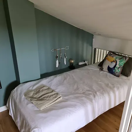 Petit Maison Coquette 50 M2 A 100 M De La * 프롱티냥